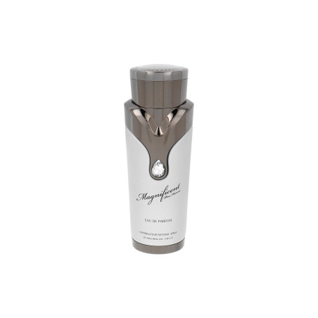 Armaf Magnificent Pour Homme Edp 100ml