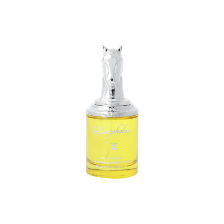 Armaf Bucephalus X Edp 100ml