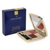 Estee Lauder Pure Color Envy Luxe Eyeshadow Quad Boho Rose 07 6g
